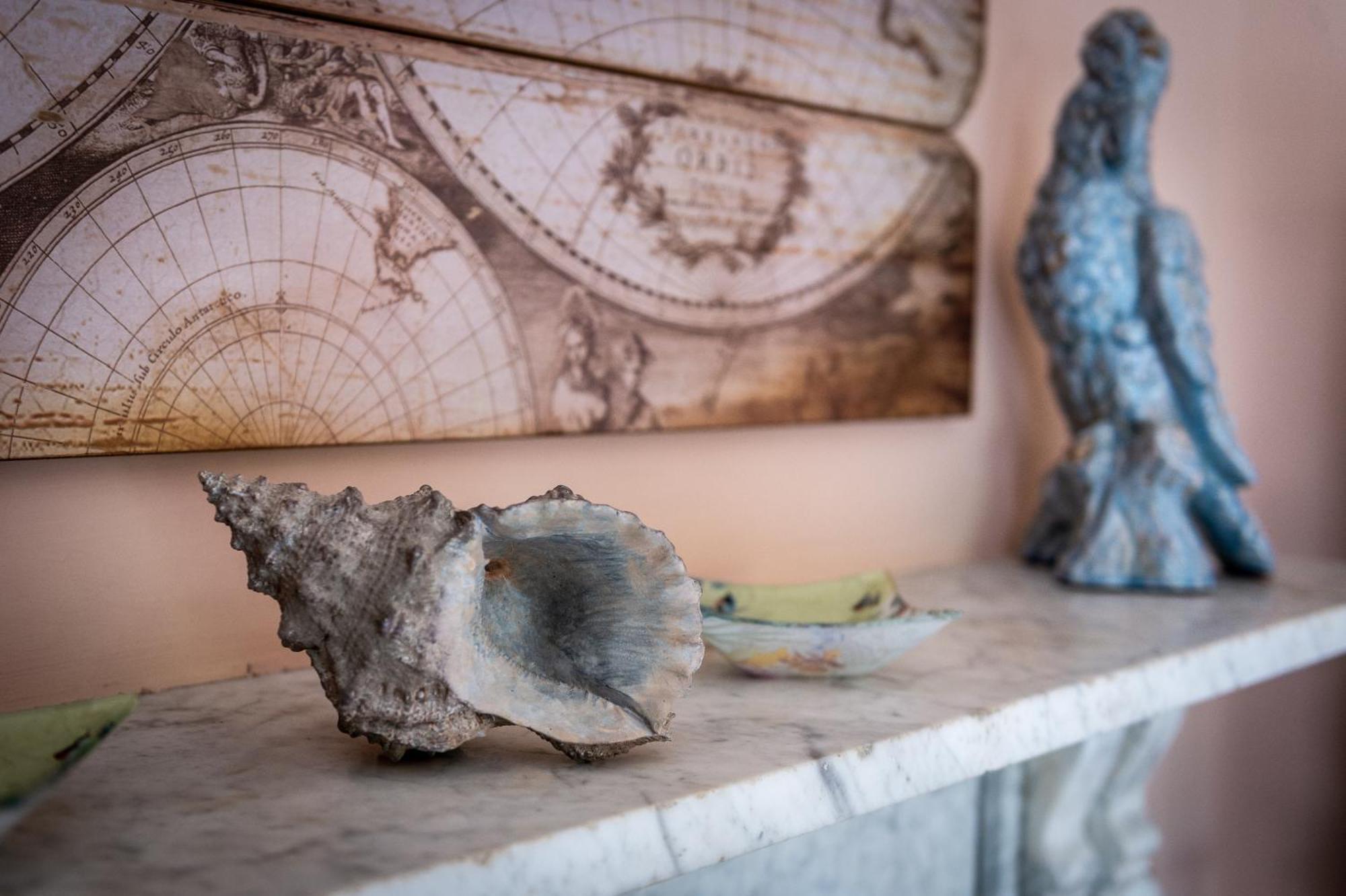 Darwin'S Townhouse Panzió Shrewsbury Szoba fotó A conch shell